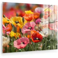 MuchoWow Glasschilderij 160x120 cm - Schilderij acrylglas - Bloemenveld - Klaprozen - Kleurrijk - Foto op glas - Muurdecoratie woonkamer - Wanddecoratie slaapkamer - Schilderijen
