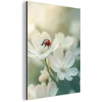 MuchoWow Aluminium schilderij 60x80 cm - Wanddecoratie metaal - Lieveheersbeestje - Bloemen - Wit - Metalen muurdecoratie woonkamer - Decoratie industrieel - Foto op dibond - Industriële accessoires slaapkamer