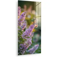 MuchoWow Glasschilderij 40x80 cm - Schilderij acrylglas - Sierlijke - Vlinder - Paarse - Bloemen - Foto op glas - Muurdecoratie woonkamer - Wanddecoratie slaapkamer - Schilderijen
