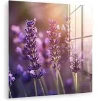 MuchoWow Glasschilderij 50x50 cm - Schilderij acrylglas - Lavendelbloemen - Paars - Zonlicht - Foto op glas - Muurdecoratie woonkamer - Wanddecoratie slaapkamer - Schilderijen