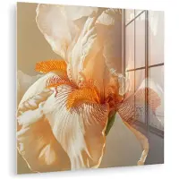 MuchoWow Glasschilderij 50x50 cm - Schilderij acrylglas - Close up - Oranje - Iris - Foto op glas - Muurdecoratie woonkamer - Wanddecoratie slaapkamer - Schilderijen