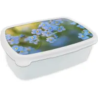 MuchoWow Broodtrommel Wit - Lunchbox Bloemetjes - Blauw - Vergeet mij nietjes - Brooddoos 18x12x6 cm - Brood lunch box - Broodtrommels voor kinderen en volwassenen