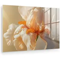 MuchoWow Glasschilderij 120x80 cm - Schilderij acrylglas - Close up - Oranje - Iris - Foto op glas - Muurdecoratie woonkamer - Wanddecoratie slaapkamer - Schilderijen