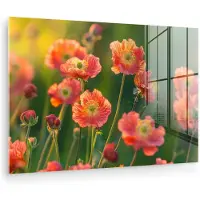 MuchoWow Glasschilderij 120x80 cm - Schilderij acrylglas - Bloemenveld - Zonnestralen - Oranje - Foto op glas - Muurdecoratie woonkamer - Wanddecoratie slaapkamer - Schilderijen