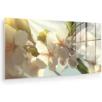 MuchoWow Glasschilderij 160x80 cm - Schilderij acrylglas - Bloesems - Wit - Zonnestralen - Bloemblaadjes - Foto op glas - Muurdecoratie woonkamer - Wanddecoratie slaapkamer - Schilderijen