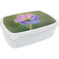 MuchoWow Broodtrommel Wit - Lunchbox Bloem - Close up - Paars - Brooddoos 18x12x6 cm - Brood lunch box - Broodtrommels voor kinderen en volwassenen