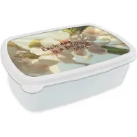 MuchoWow Broodtrommel Wit - Lunchbox Bloesems - Zonlicht - Quote - Wit - Brooddoos 18x12x6 cm - Brood lunch box - Broodtrommels voor kinderen en volwassenen