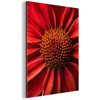 MuchoWow Aluminium schilderij 120x160 cm - Wanddecoratie metaal - Close up - Bloem- Rood - Metalen muurdecoratie woonkamer - Decoratie industrieel - Foto op dibond - Industriële accessoires slaapkamer