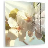 MuchoWow Glasschilderij 90x90 cm - Schilderij acrylglas - Bloesems - Wit - Zonnestralen - Bloemblaadjes - Foto op glas - Muurdecoratie woonkamer - Wanddecoratie slaapkamer - Schilderijen