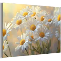 MuchoWow Aluminium schilderij 90x60 cm - Wanddecoratie metaal - Madeliefjes - Wit - Zonlicht - Metalen muurdecoratie woonkamer - Decoratie industrieel - Foto op dibond - Industriële accessoires slaapkamer