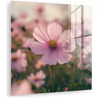 MuchoWow Glasschilderij 50x50 cm - Schilderij acrylglas - Bloemen - Paars - Wazig - Foto op glas - Muurdecoratie woonkamer - Wanddecoratie slaapkamer - Schilderijen