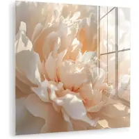 MuchoWow Glasschilderij 50x50 cm - Schilderij acrylglas - Close up - Pioenroos - Lichtroze - Foto op glas - Muurdecoratie woonkamer - Wanddecoratie slaapkamer - Schilderijen