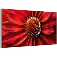 MuchoWow Aluminium schilderij 160x80 cm - Wanddecoratie metaal - Close up - Bloem - Quote - Rood - Metalen muurdecoratie woonkamer - Decoratie industrieel - Foto op dibond - Industriële accessoires slaapkamer