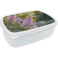 MuchoWow Broodtrommel Wit - Lunchbox Sierlijke - Vlinder - Paarse - Bloemen - Brooddoos 18x12x6 cm - Brood lunch box - Broodtrommels voor kinderen en volwassenen