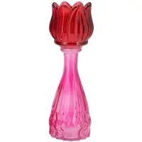 Daan Kromhout Bicolore dutch pink mix tulip vase 7x22cm
