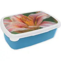 MuchoWow Broodtrommel Blauw - Lunchbox Lelie - Close up - Lichtroze - Brooddoos 18x12x6 cm - Brood lunch box - Broodtrommels voor kinderen en volwassenen