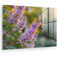MuchoWow Glasschilderij 90x60 cm - Schilderij acrylglas - Sierlijke - Vlinder - Paarse - Bloemen - Foto op glas - Muurdecoratie woonkamer - Wanddecoratie slaapkamer - Schilderijen