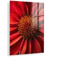 MuchoWow Glasschilderij 90x120 cm - Schilderij acrylglas - Close up - Bloem- Rood - Foto op glas - Muurdecoratie woonkamer - Wanddecoratie slaapkamer - Schilderijen