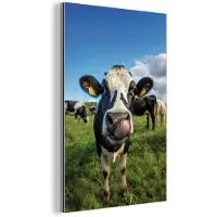 MuchoWow Aluminium schilderij 80x120 cm - Wanddecoratie metaal - Koe - Tong - Weide - Metalen muurdecoratie woonkamer - Decoratie industrieel - Foto op dibond - Industriële accessoires slaapkamer