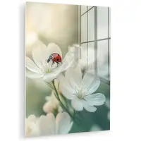 MuchoWow Glasschilderij 120x160 cm - Schilderij acrylglas - Lieveheersbeestje - Bloemen - Wit - Foto op glas - Muurdecoratie woonkamer - Wanddecoratie slaapkamer - Schilderijen
