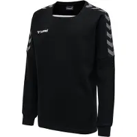 Hummel Sportief sweatshirt | 116 | boy
