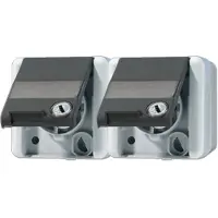JUNG Stopcontacten, Wandcontactdoos met randaarde 2-voudig 16A 250V 8220 NAWSL