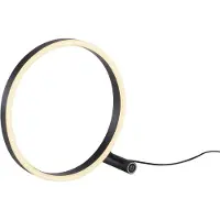 JUST LIGHT RITUS LED-tafellamp, warm wit, dimbaar, 11,5W, antraciet, modelnummer 15390-13