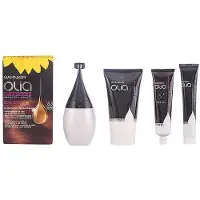 Garnier Olia Permanente Kleur #5,3 Cappuccino Set 4 stuks