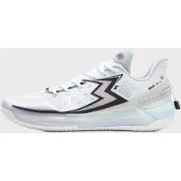 361 Degrees BIG3 5.0 - ICE BLADE Basketbalschoen Wit | 43
