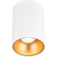 Orion Starlight plafondspot, rond, wit Starlight, dimbaar, wit / opaal, Woon-/ Eetkamer, Aluminium, Modern, buitenspot