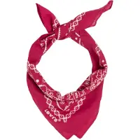 Levi's Doek rood / wit