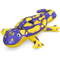 Bestway 41502 Salamander 191x119cm Luchtbed Voor Zwembad