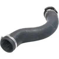 DT Spare Parts 2.15997 Radiateurslang