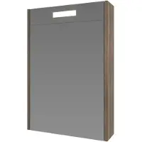 Boss & Wessing Spiegelkast bws salt 1 deur met led 60x50 cm incl. Planchetten scotch oak