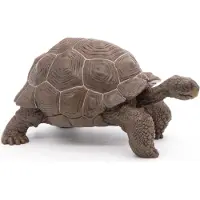 Papo Olifantschilpadden - H: 5 cm - - OneSize - Speelgoeddieren