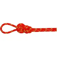Mammut - Klimtouwen - 8.0 Alpine Core Protect Dry Rope Fire/Halo voor Unisex - Maat 60 m