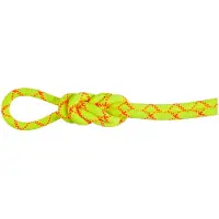 Mammut - 9.5 Alpine Core Protect Dry Rope - Enkeltouw 40 m, geel