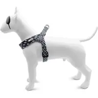 Morsø mini tuig voor hond verstelbaar gerecycled power flow zwart 32-41x2,5 cm