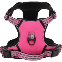 vidaXL Hondentuigje met riem en halsband verstelbaar L roze