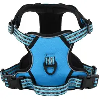 vidaXL Hondentuigje met riem en halsband verstelbaar XL blauw