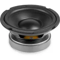 Fenton 6,5 inch HiFi Woofer met PP conus