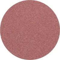 PFERD TOOLS CD 38 A 320 42750432 Schuurblad Korrelgrootte (num) 320 (Ø) 38 mm 100 stuk(s)
