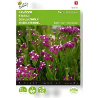 Buzzy - Zaden limonium lamsoor purple attraction 0.2 gram