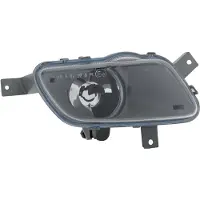 TYC Mistlamp links 19-0590-01-9 TYC voor o.a. VOLVO