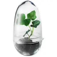 Design House Stockholm Grow kas small Ø8 cm
