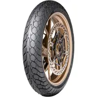 Dunlop Sportmax MUTANT 150/70ZR17 TL, Motorbanden achter