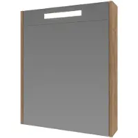 Boss & Wessing Spiegelkast BWS Salt 1 Deur Met LED 60x60 cm Incl. Planchetten Whisky Oak