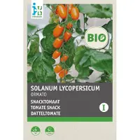 Intratuin Biologisch Groentezaden Snacktomaat (Solanum Lycopersicum 'Ormata')
