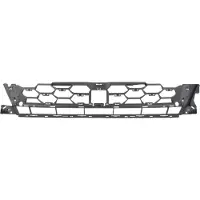 BLIC 6502-07-0039920P Ventilatiegrille, bumper