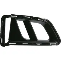BLIC Ventilatierooster, bumper 6502-07-1196924P